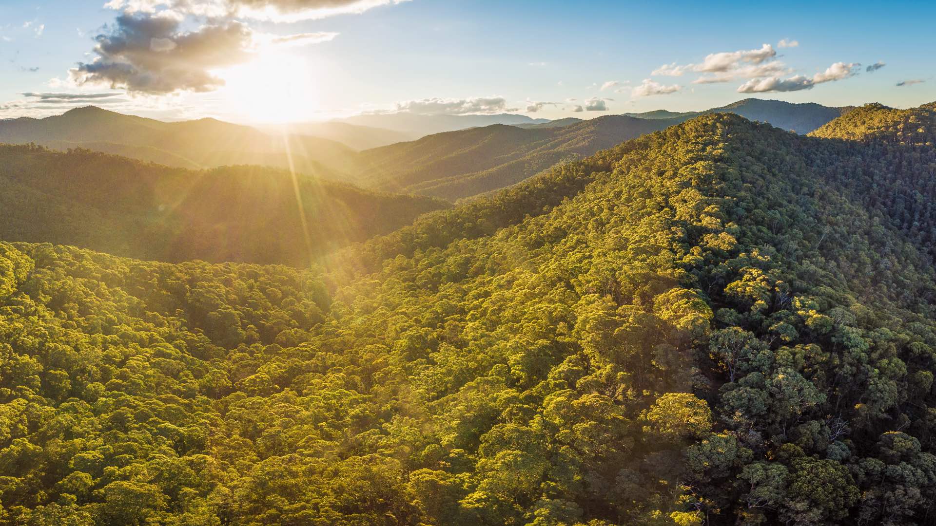 Aerial panorama of beautiful Australian Alps at sunset