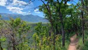 Park City hiking trails hiking trails