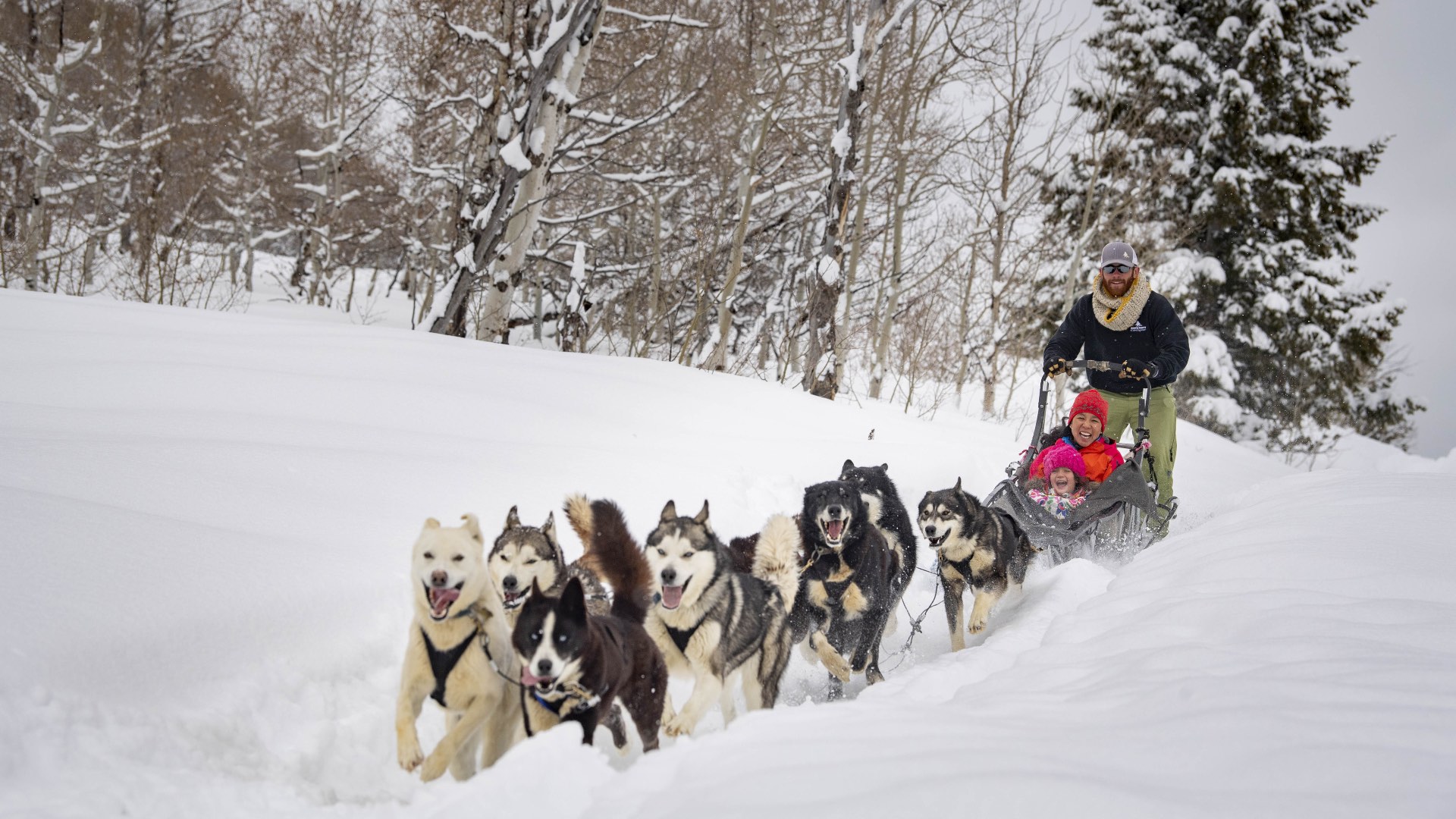 Dogsledding