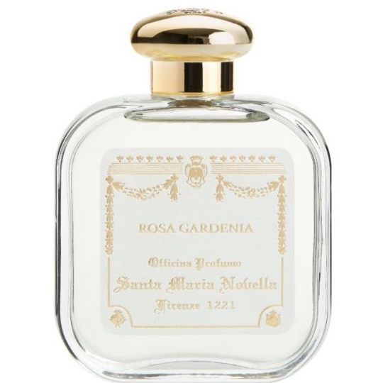 Santa Maria Novella 1221 Rosa Gardenia