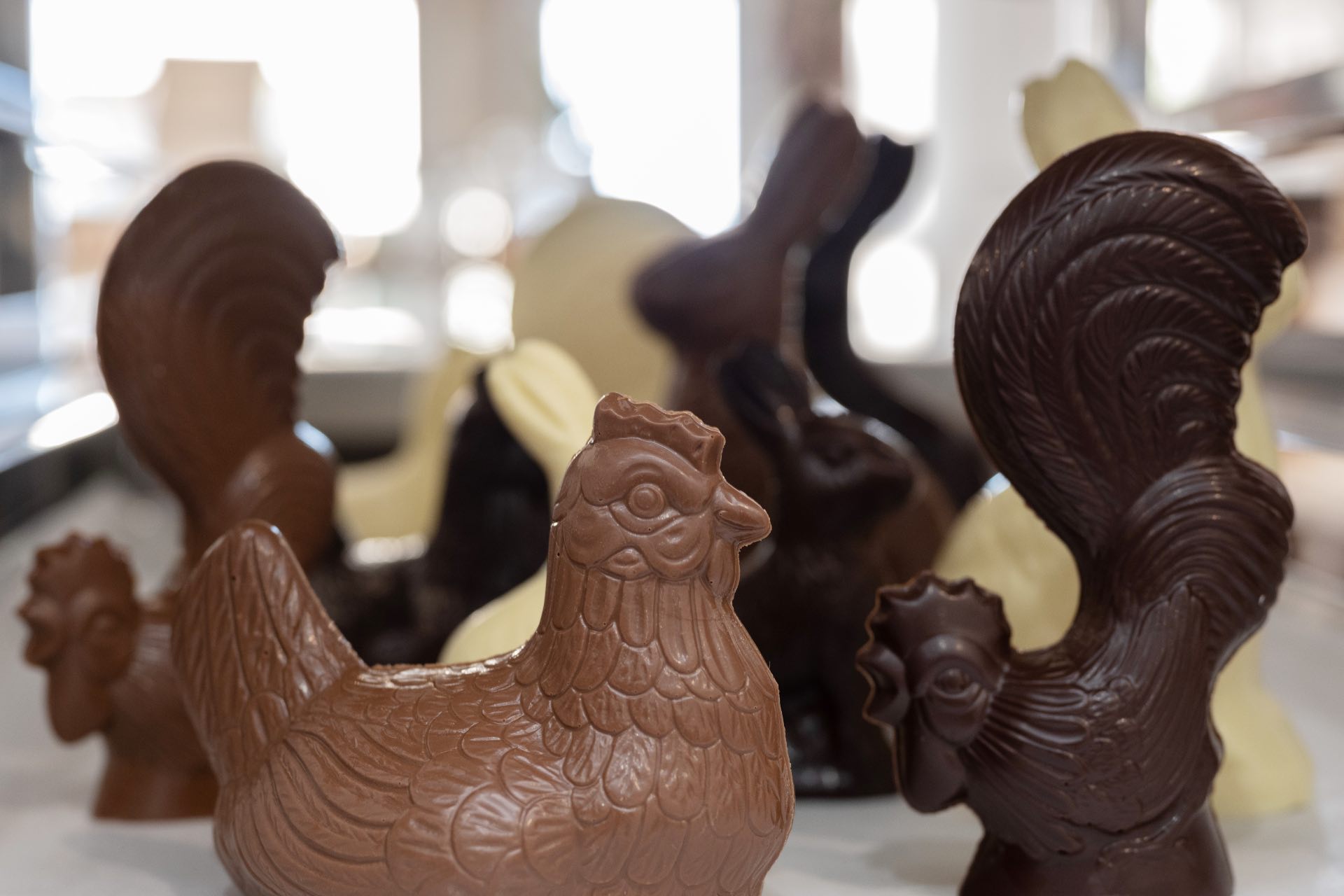 Woodstock Chocolate Co