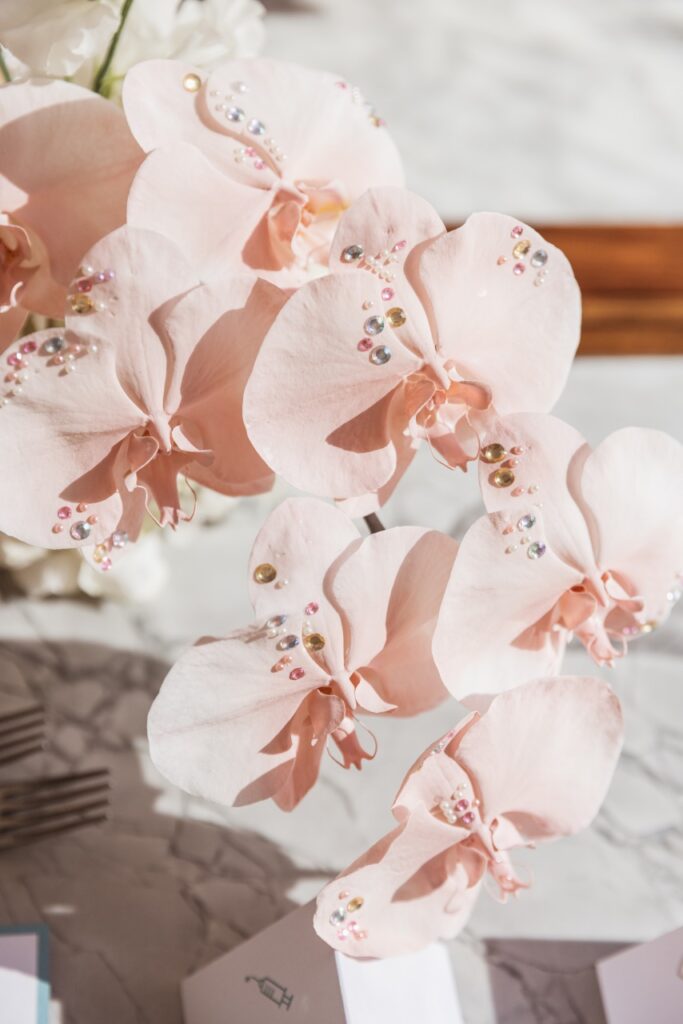 Dr Naomi 1st Birthday